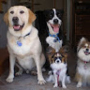 Meet your Posher, Deborah